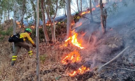 El incendio de Niebla obliga a cortar dos carreteras del entorno