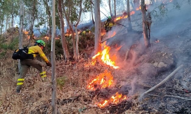 El incendio de Niebla obliga a cortar dos carreteras del entorno