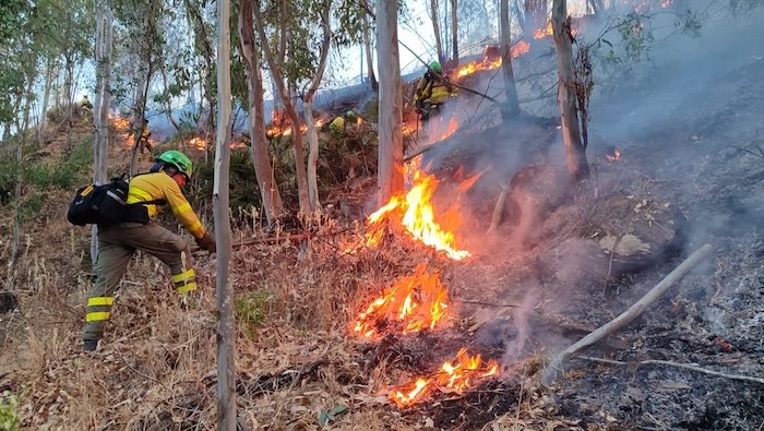 El incendio de Niebla obliga a cortar dos carreteras del entorno