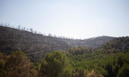 La Junta trabaja para declarar ‘desastre natural’ en las áreas afectadas por el incendio de Niebla