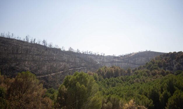 La Junta trabaja para declarar ‘desastre natural’ en las áreas afectadas por el incendio de Niebla