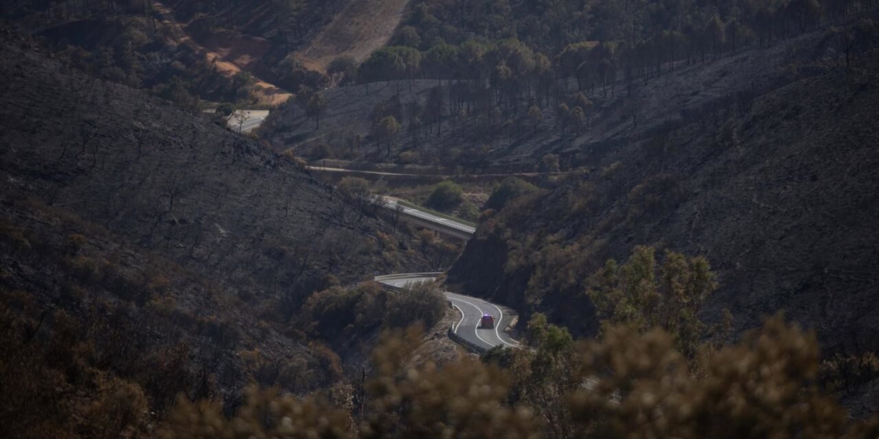 Controlado el incendio de Niebla tras dos semanas de lucha contra el fuego