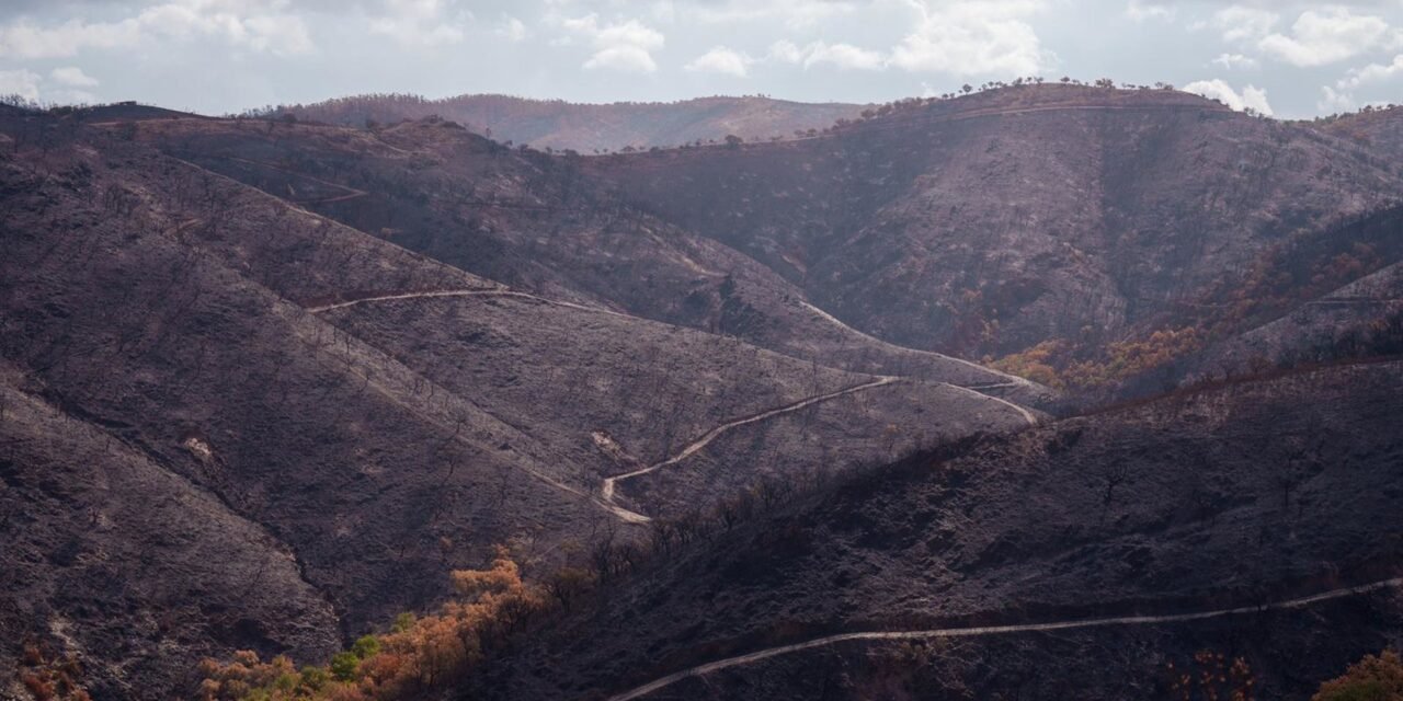 La Junta declara el incendio de Niebla como desastre natural en el potencial agrario y forestal