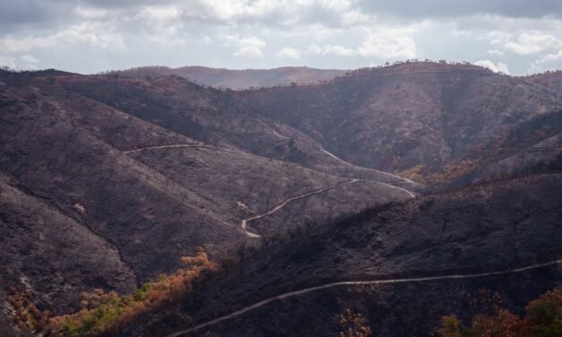 La Junta declara el incendio de Niebla como desastre natural en el potencial agrario y forestal