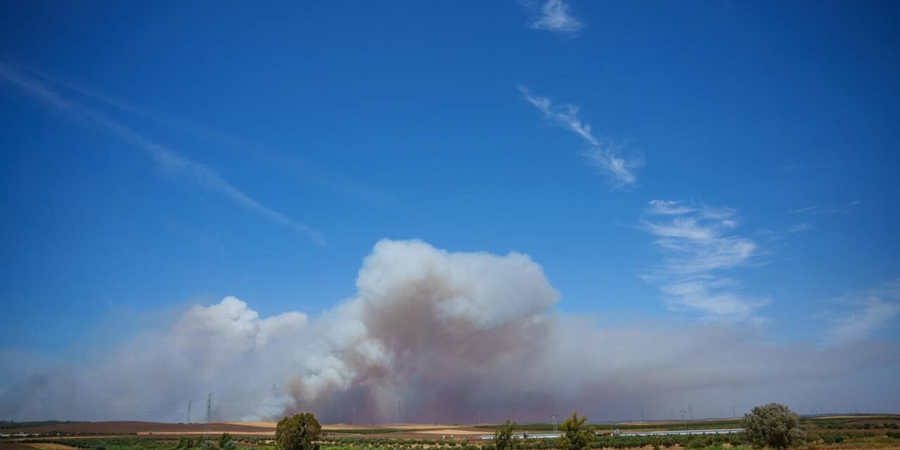 El incendio de Niebla recorre ya 20.000 hectáreas y se encuentra «fuera de capacidad de extinción»