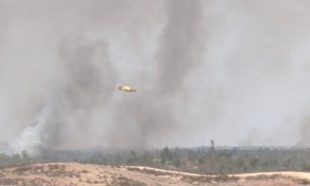 Más de 500 efectivos luchan contra el incendio de Niebla que sigue sin control