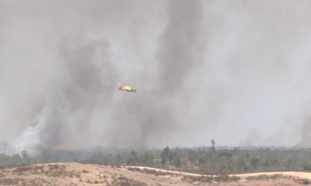 Más de 500 efectivos luchan contra el incendio de Niebla que sigue sin control