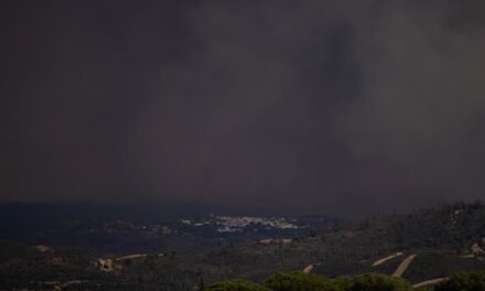 Un «cambio de patrón» en el viento abre «una oportunidad» de contener el incendio