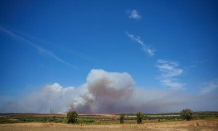 El incendio de Niebla recorre ya 20.000 hectáreas y se encuentra «fuera de capacidad de extinción»