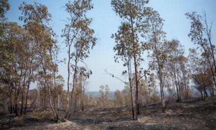 El incendio de Niebla supera las 28.000 hectáreas tras una noche «compleja»