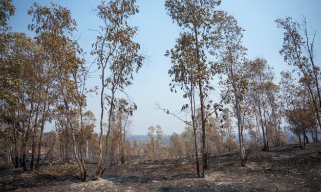 El incendio de Niebla supera las 28.000 hectáreas tras una noche «compleja»