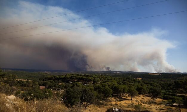 La Junta cifra en 33.000 las hectáreas quemadas por el incendio de Niebla