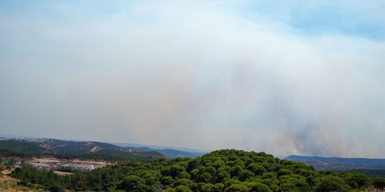 Evolución positiva del incendio de Niebla