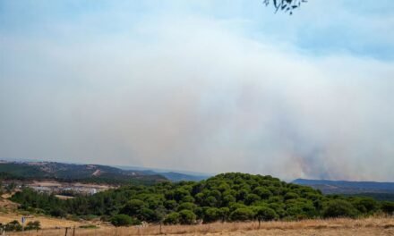 Evolución positiva del incendio de Niebla