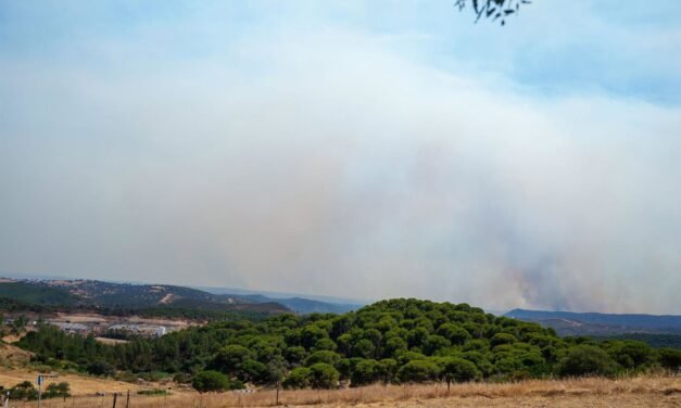 Evolución positiva del incendio de Niebla