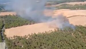 Incendio Villablanca Plan Infoca