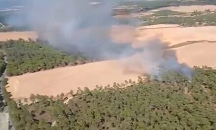 Un incendio en Villablanca moviliza a 28 efectivos del Infoca