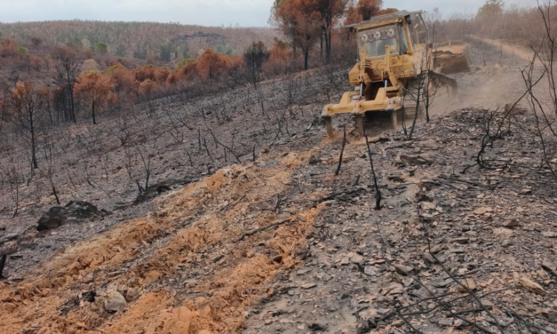 Comienzan las obras de emergencia por el incendio de Niebla