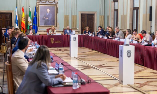 El Pleno garantiza la protección de los restos arqueológicos en la Plaza de La Soledad