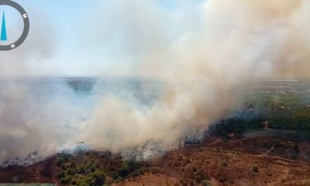 Un incendio en Ayamonte obliga a cortar la A-499