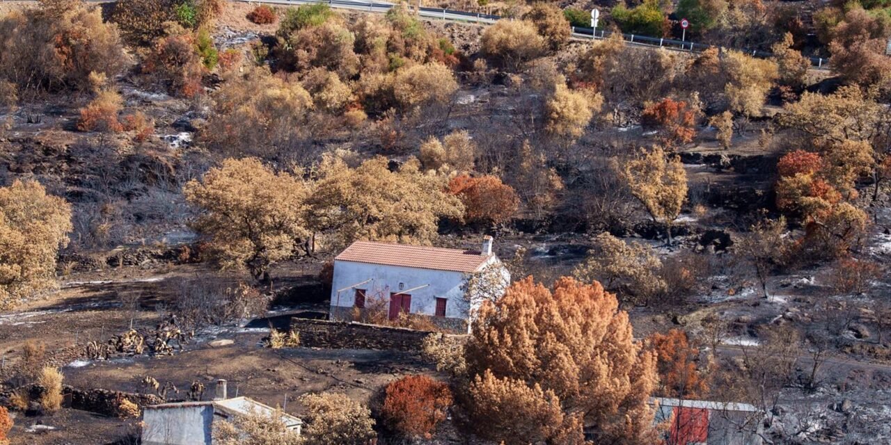 El territorio calcinado por el incendio de Niebla es declarado como zona gravemente afectada