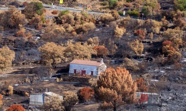 El territorio calcinado por el incendio de Niebla es declarado como zona gravemente afectada