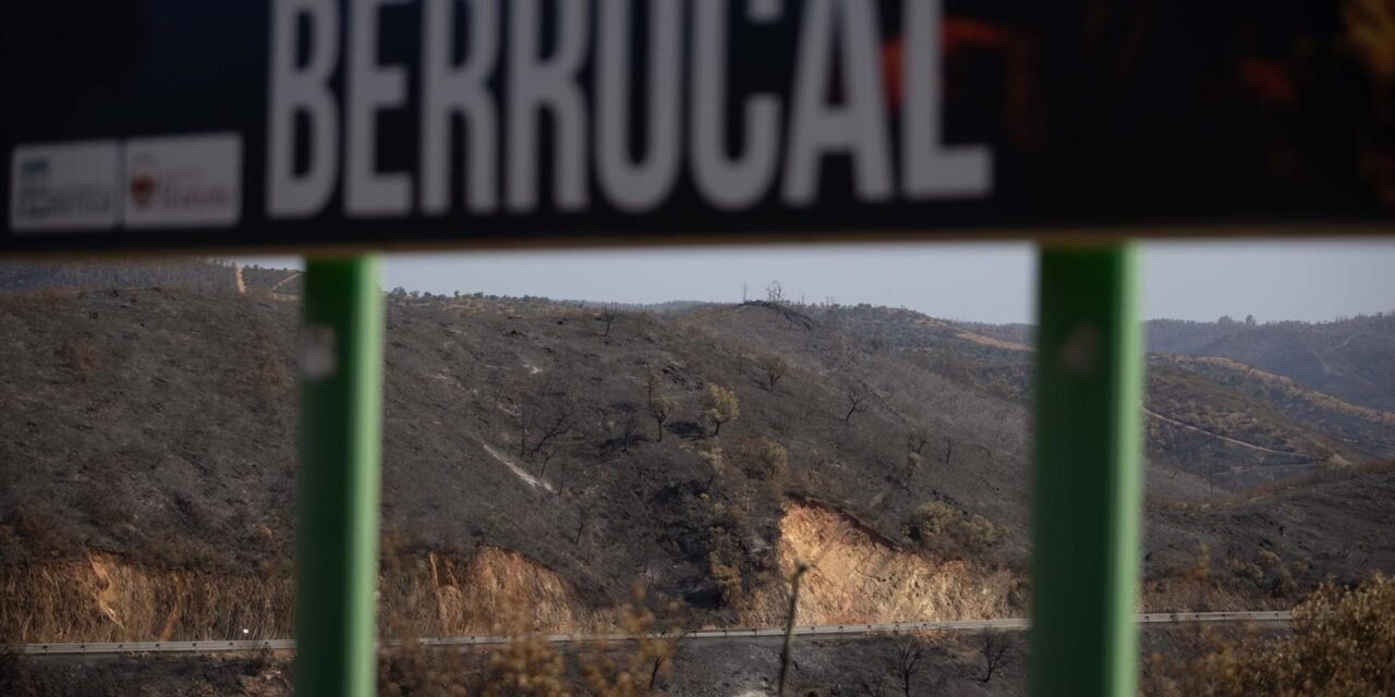 Los cazadores de Berrocal paralizarán la actividad un mínimo de cuatro años