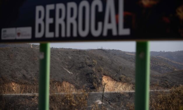 Los cazadores de Berrocal paralizarán la actividad un mínimo de cuatro años