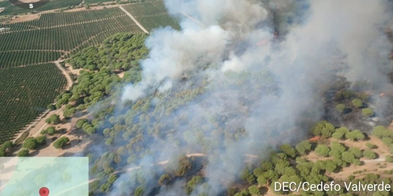 El Infoca lucha contra un nuevo incendio en Cartaya