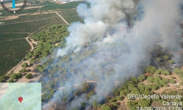 El Infoca lucha contra un nuevo incendio en Cartaya