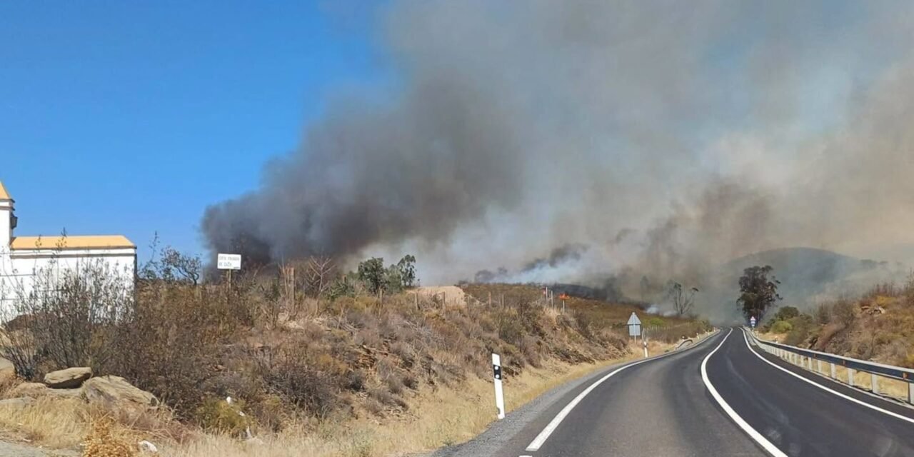 Once medios aéreos trabajan en un incendio forestal en Castillejos