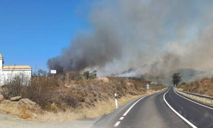 Once medios aéreos trabajan en un incendio forestal en Castillejos