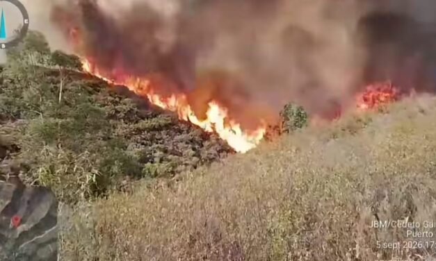 Declarado un incendio en Puerto Moral