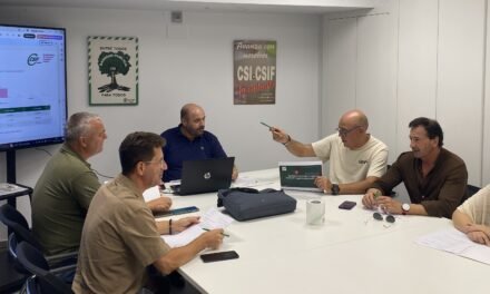 CSIF refuerza su asesoramiento en sanidad ante una «oportunidad única» para el empleo