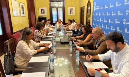 Adjudicado el servicio de ayuda a domicilio por 52,2 millones