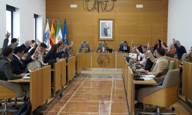 El Pleno de la Diputación se une en defensa de la salud mental