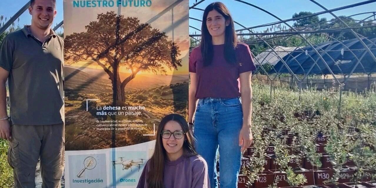 Diputación y UHU ensayan especies y tratamientos contra la seca y la sequía