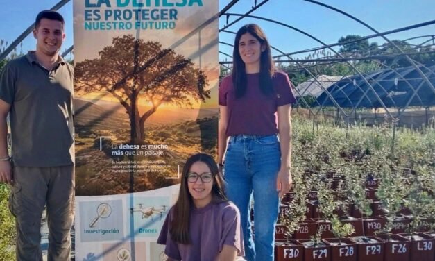 Diputación y UHU ensayan especies y tratamientos contra la seca y la sequía