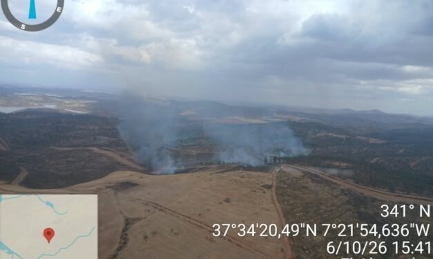 El Infoca lucha contra dos incendios en El Almendro y Calañas